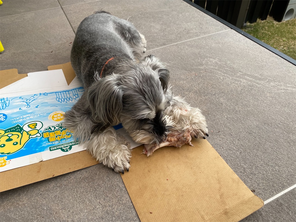 f:id:reiapapa:20210320174600j:image