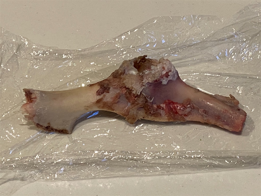 f:id:reiapapa:20210320182840j:image