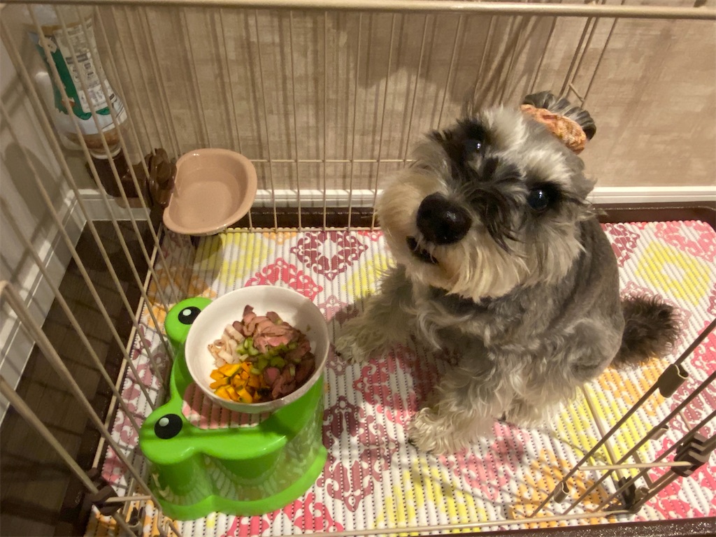 f:id:reiapapa:20210320202742j:image