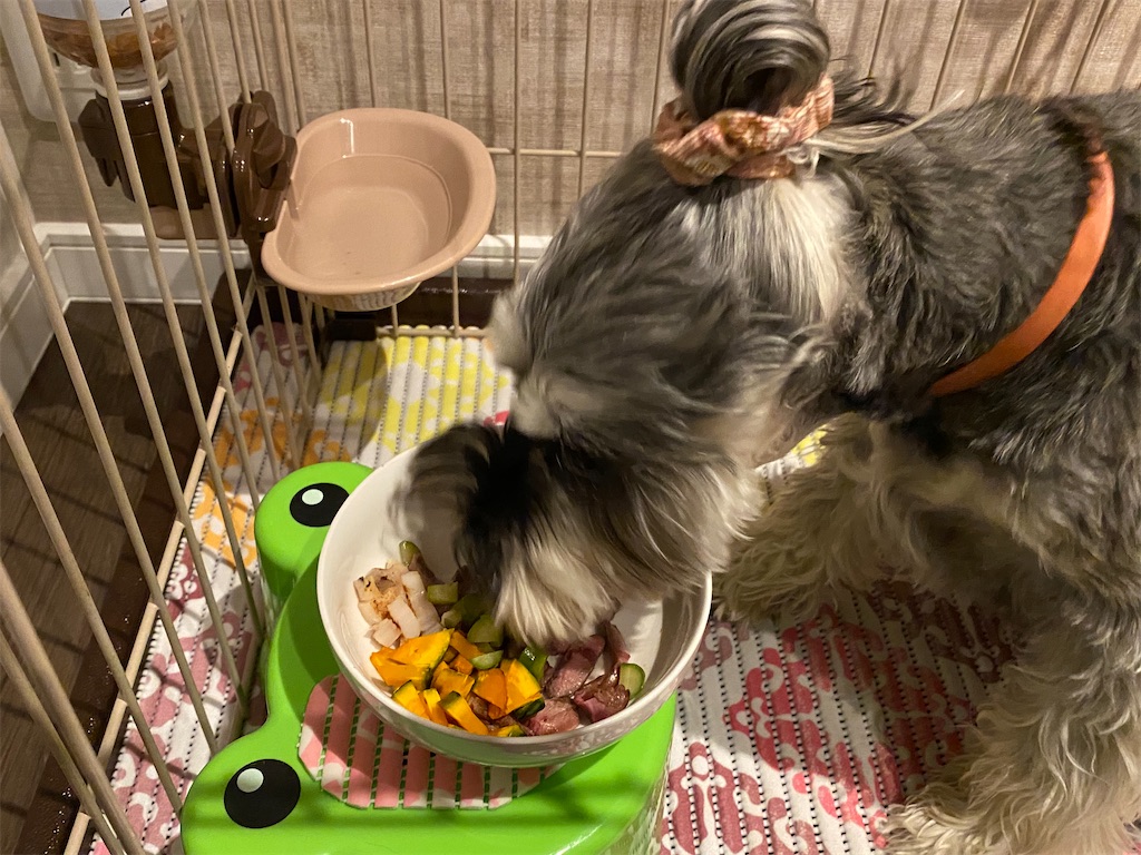 f:id:reiapapa:20210320202930j:image