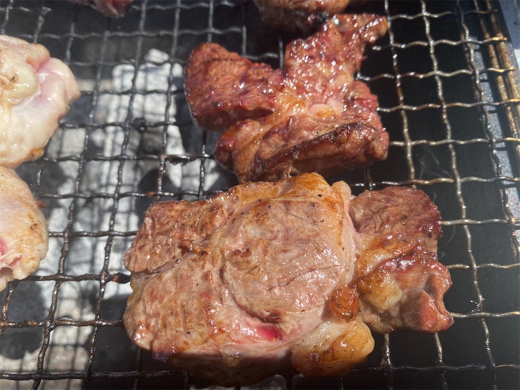 f:id:reiapapa:20210427210411j:image