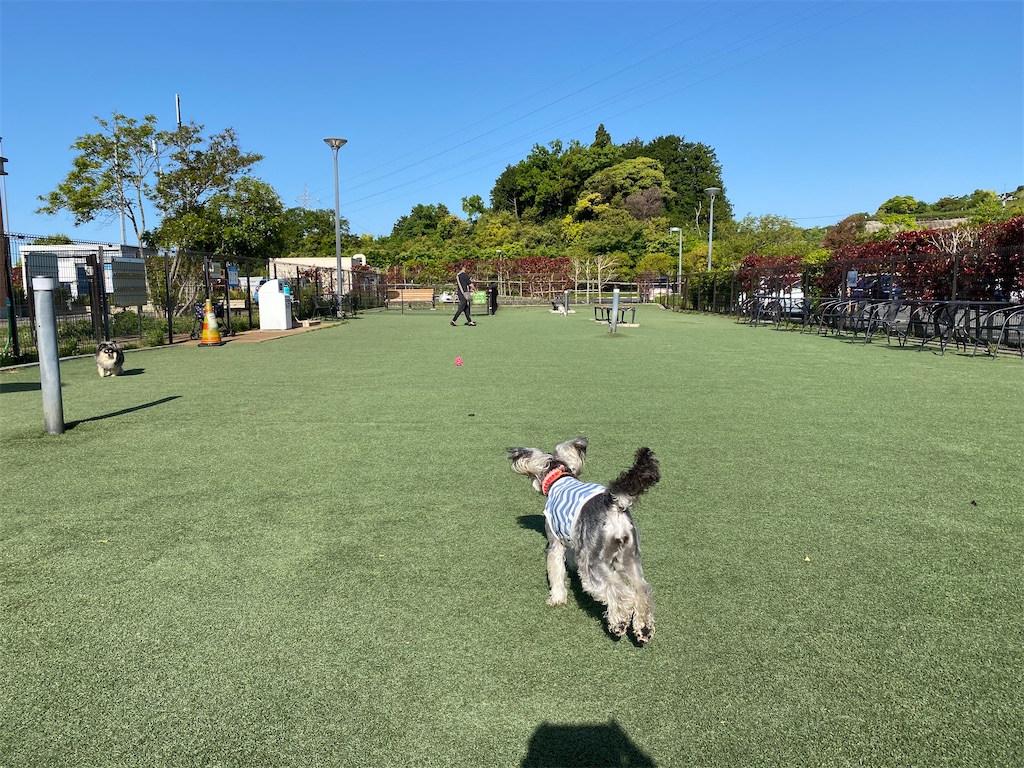 f:id:reiapapa:20210430195431j:image