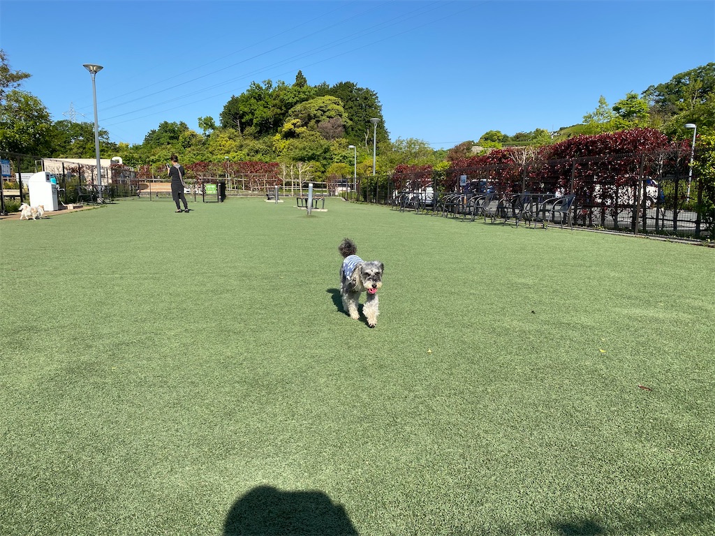 f:id:reiapapa:20210430195518j:image