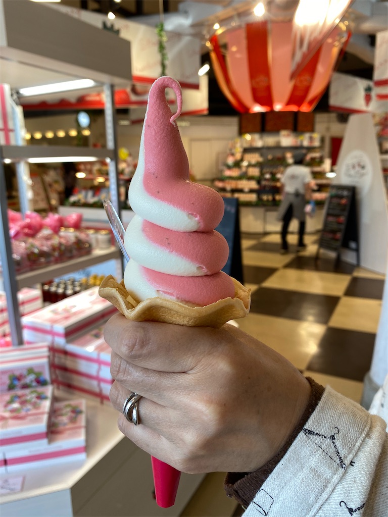 f:id:reiapapa:20210501090315j:image