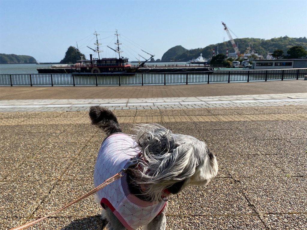 f:id:reiapapa:20210501180159j:image