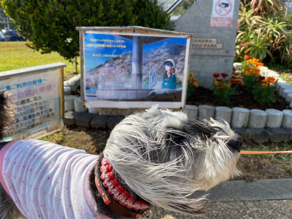 f:id:reiapapa:20210501180350j:image