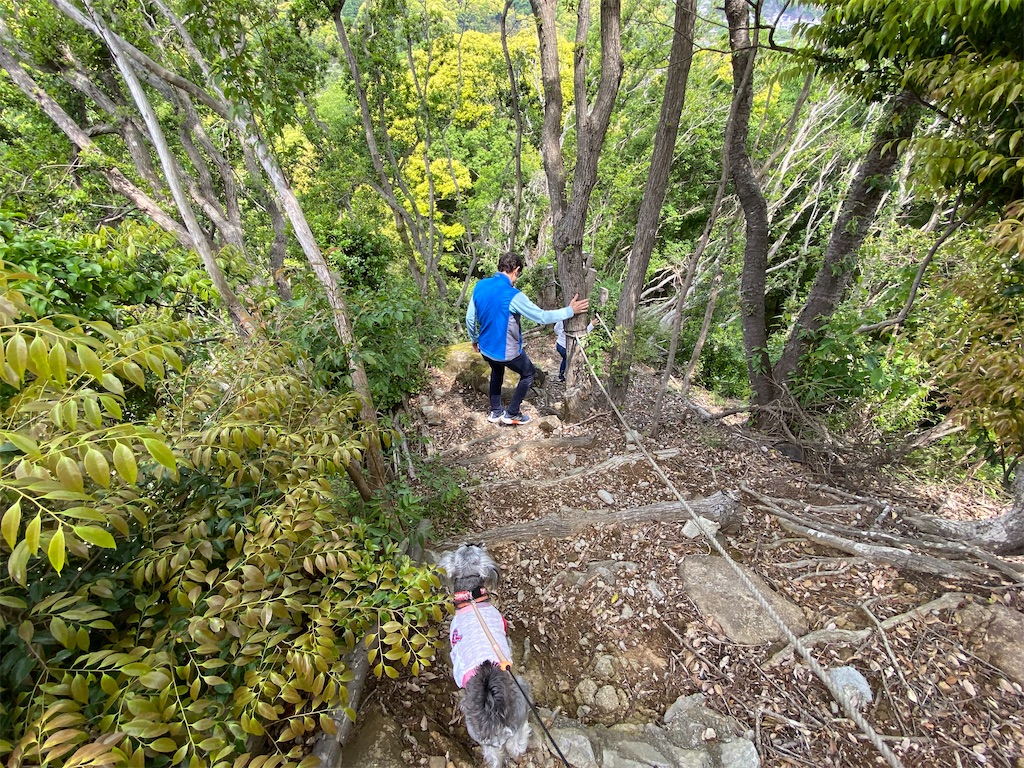 f:id:reiapapa:20210501210721j:image