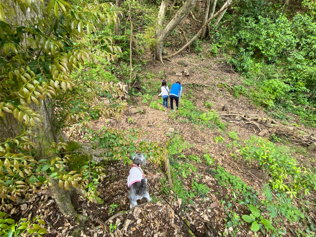 f:id:reiapapa:20210501211658j:image