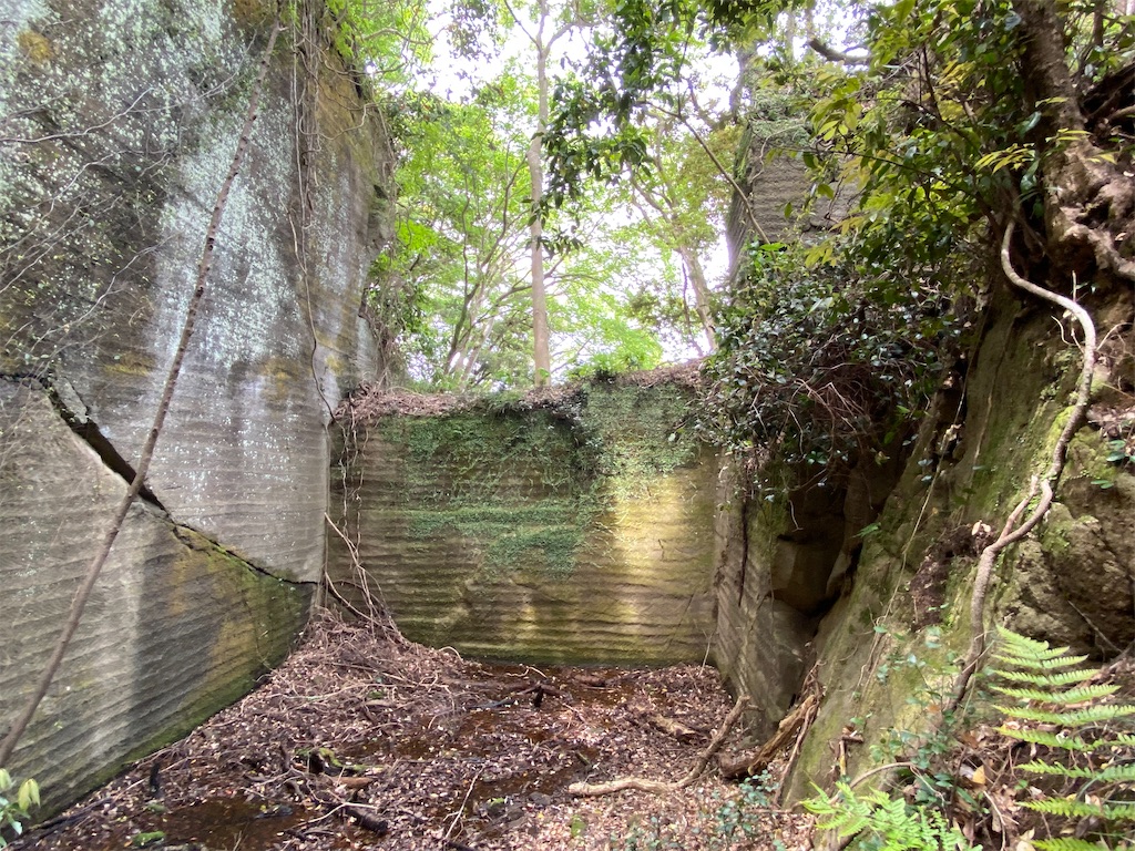 f:id:reiapapa:20210501211935j:image