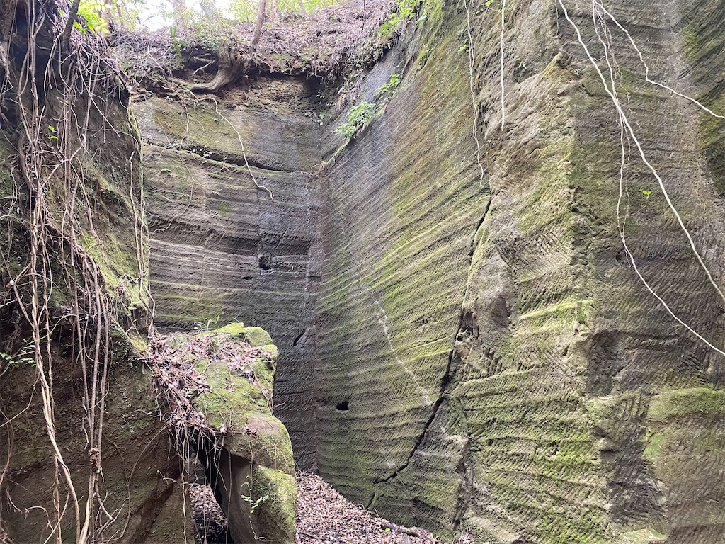 f:id:reiapapa:20210501212029j:image