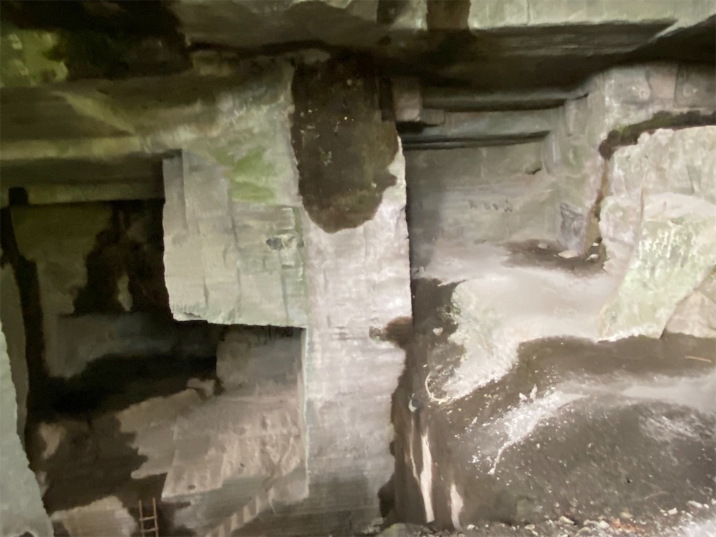 f:id:reiapapa:20210501213539j:image