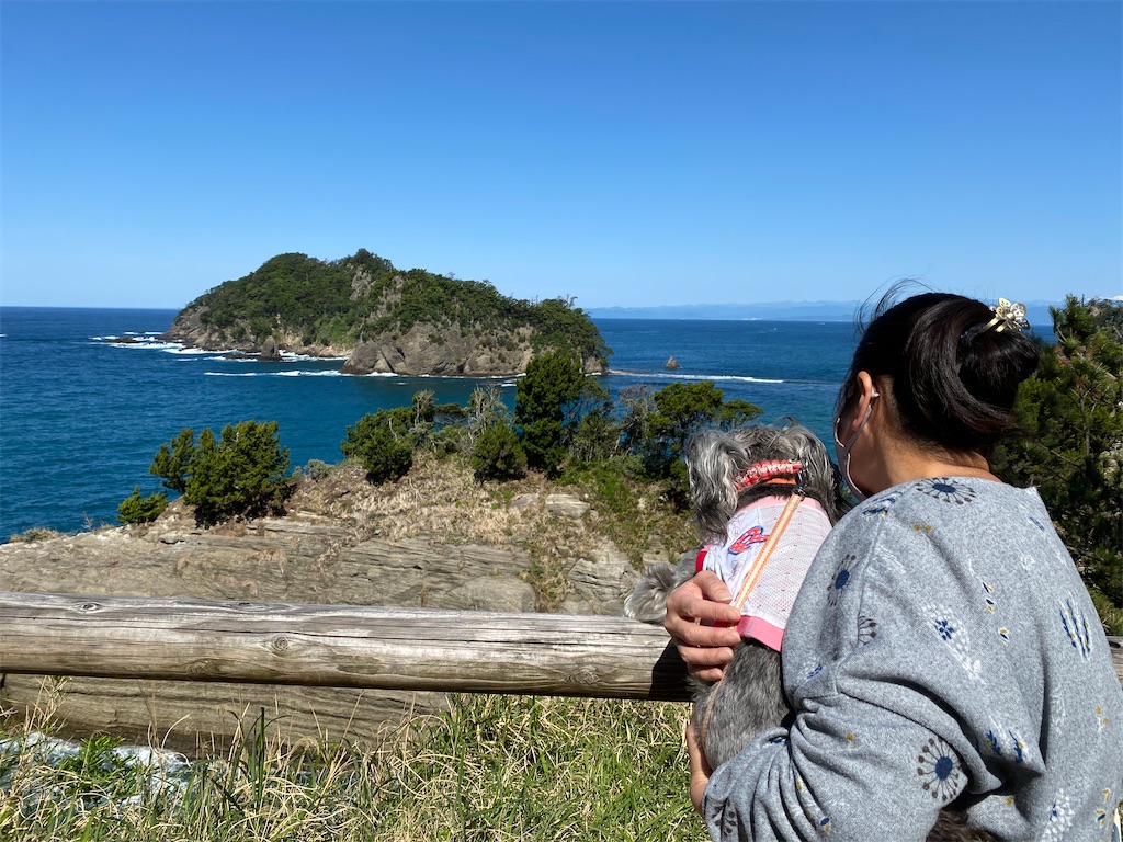 f:id:reiapapa:20210504174033j:image