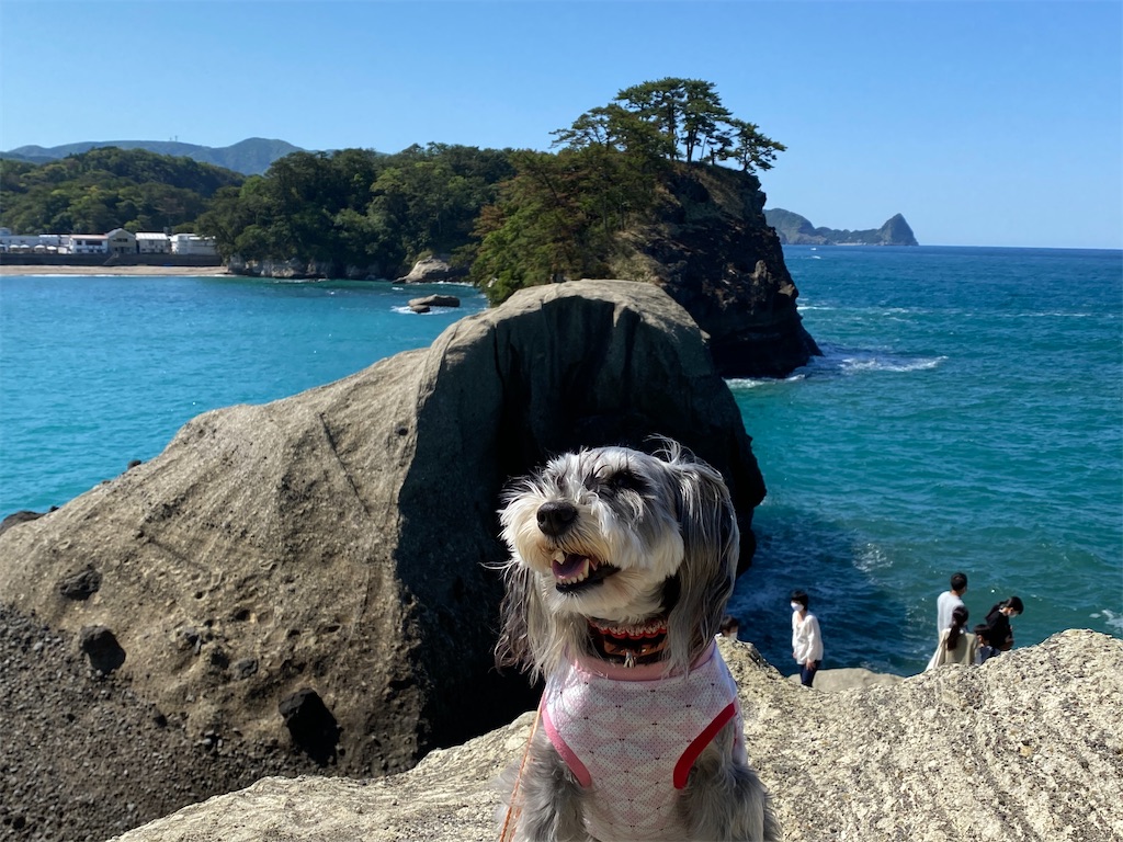 f:id:reiapapa:20210504210754j:image