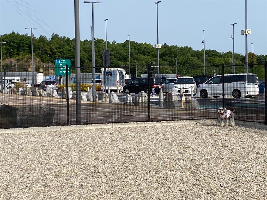 f:id:reiapapa:20210505085304j:image