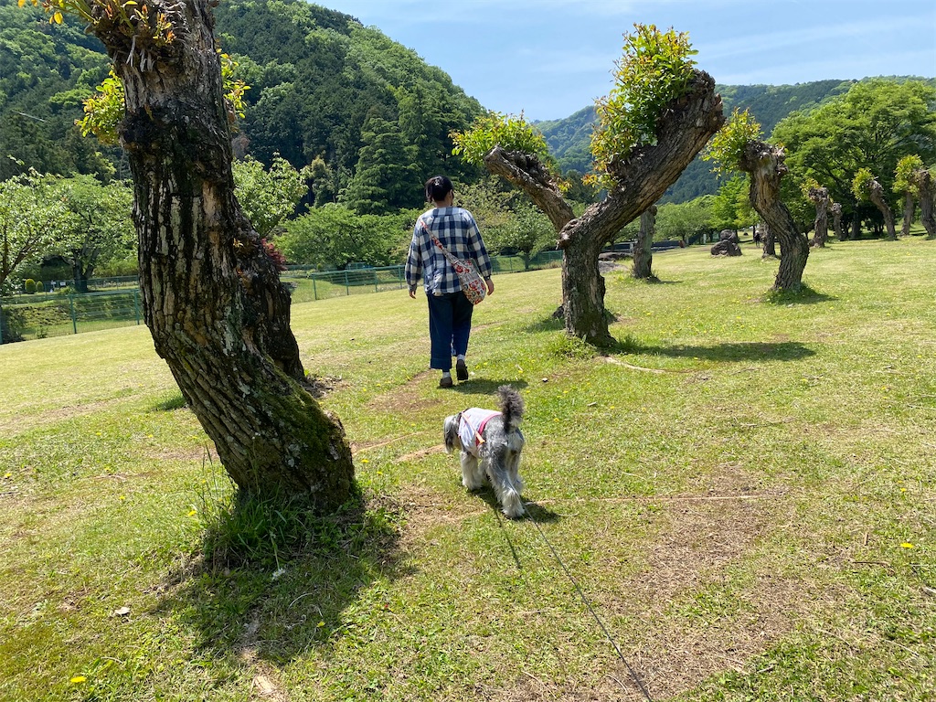 f:id:reiapapa:20210505091342j:image