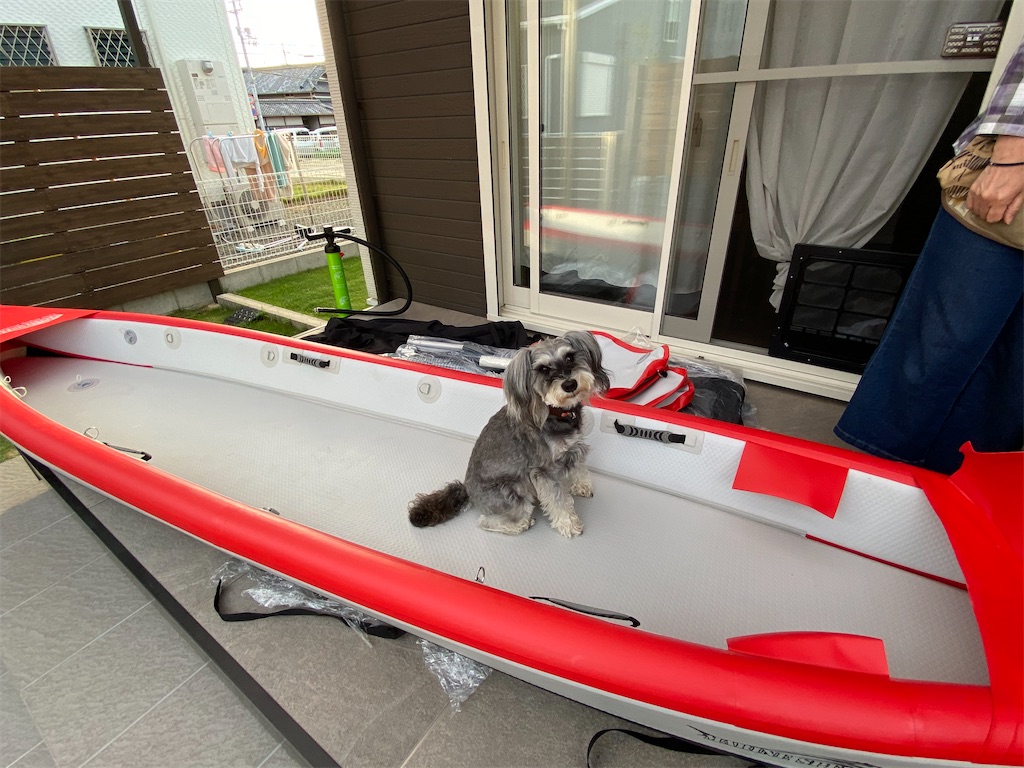 f:id:reiapapa:20210513195107j:image