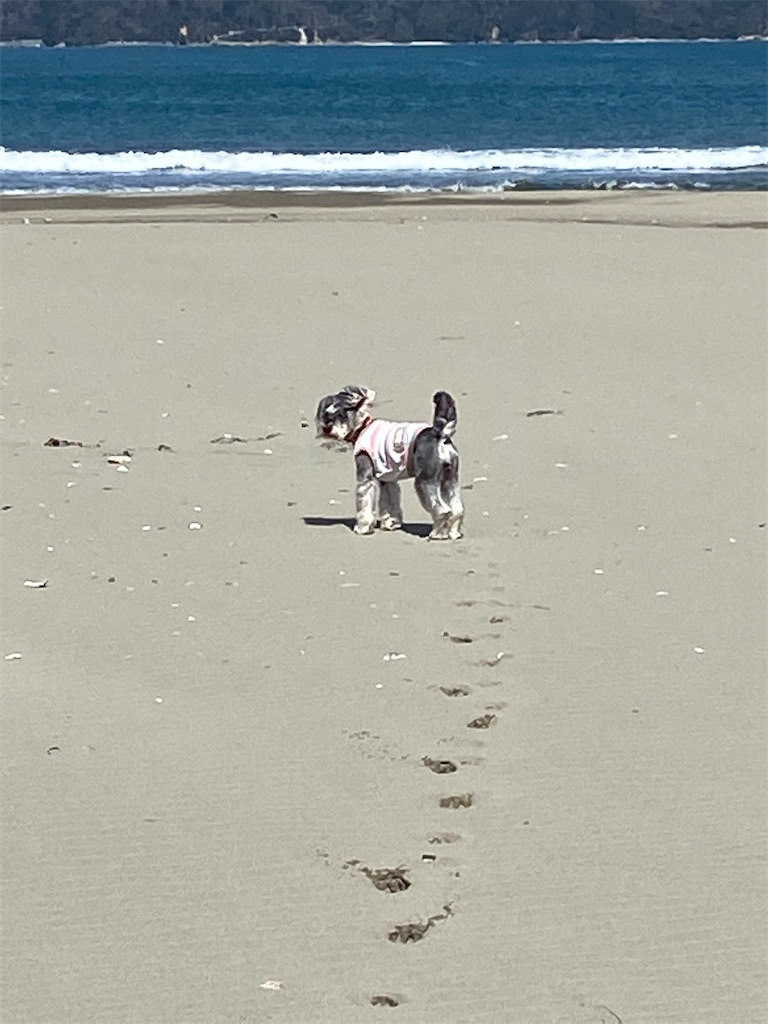 f:id:reiapapa:20210518215546j:image