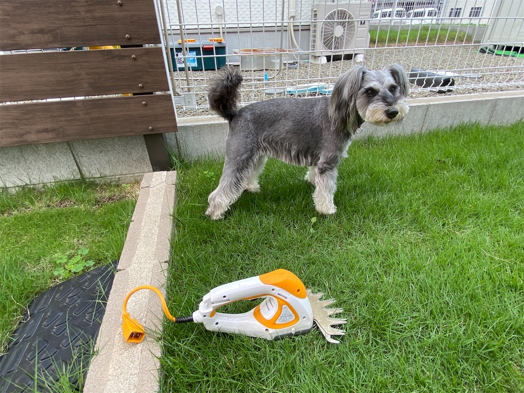 f:id:reiapapa:20210524122950j:image