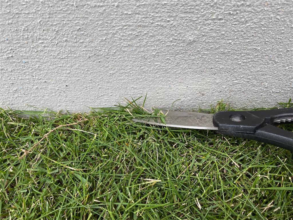 f:id:reiapapa:20210524123712j:image