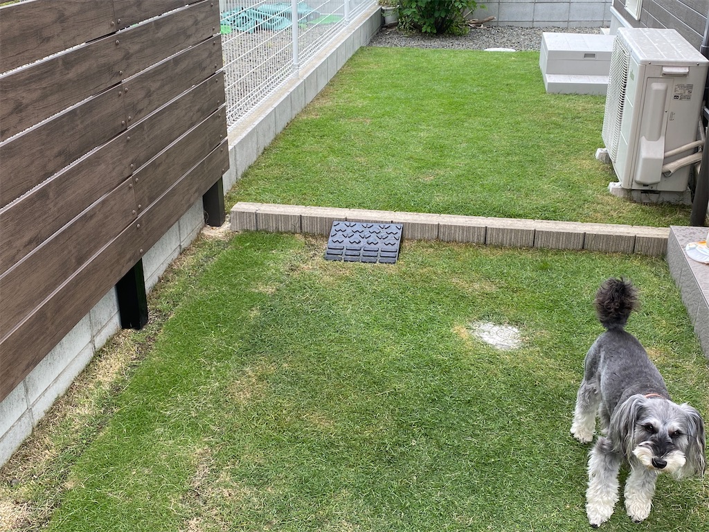 f:id:reiapapa:20210524123925j:image