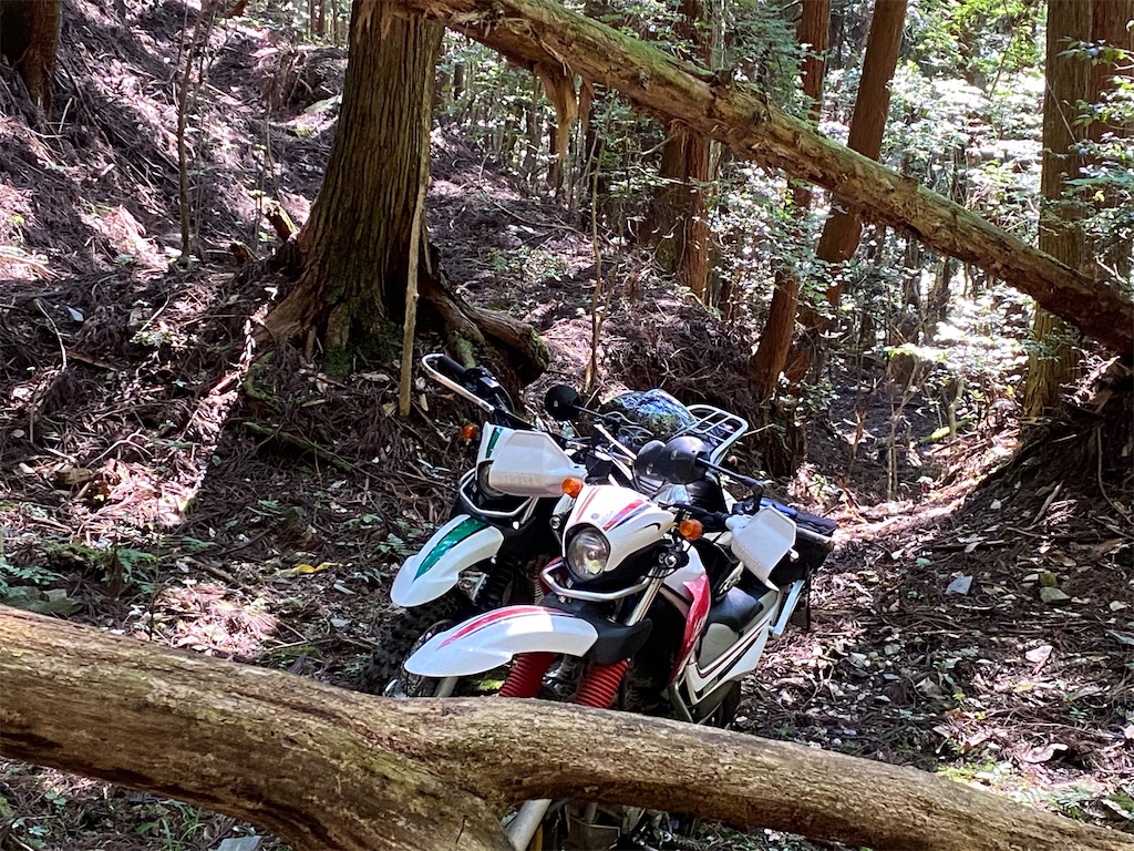 f:id:reiapapa:20210529223100j:image