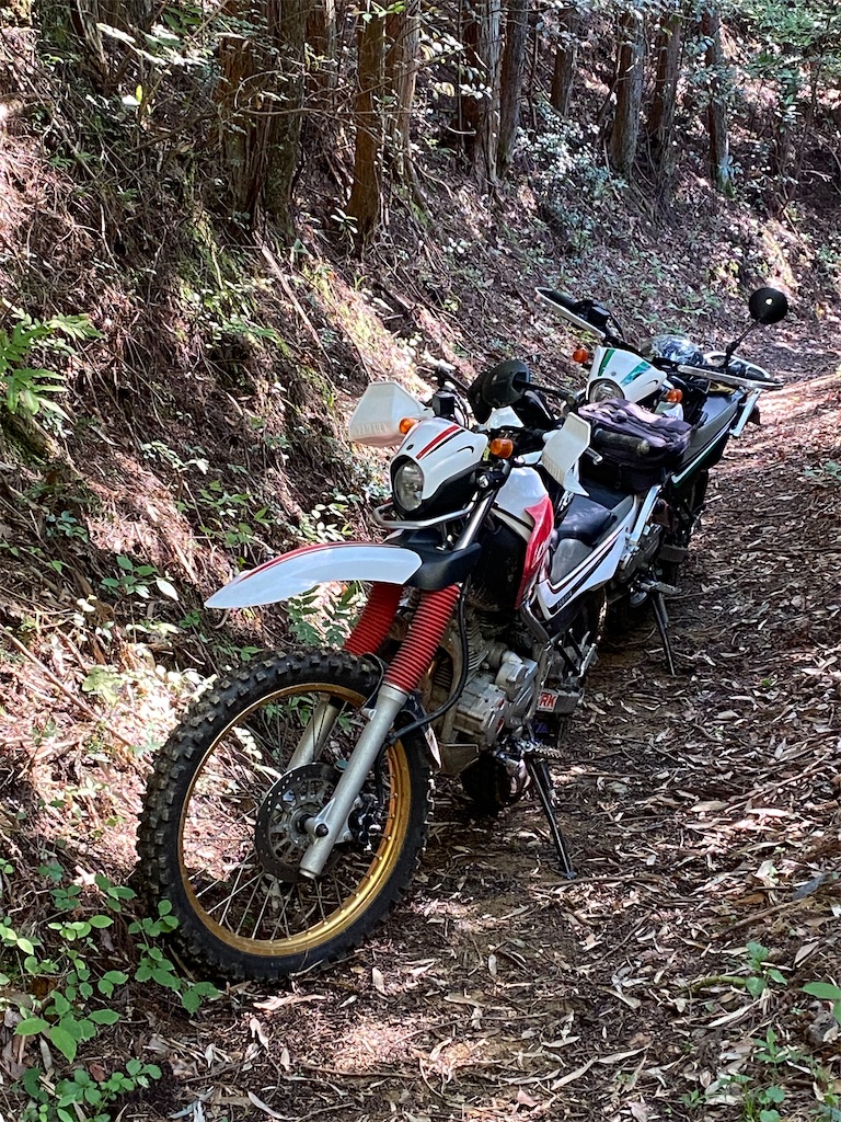 f:id:reiapapa:20210529225344j:image