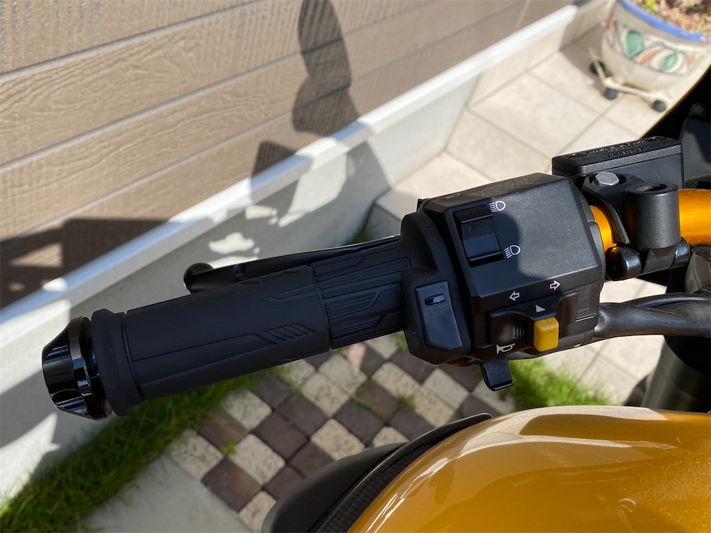 f:id:reiapapa:20210530084752j:image