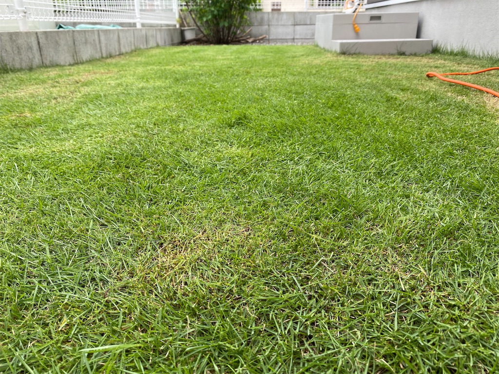 f:id:reiapapa:20210710125945j:image