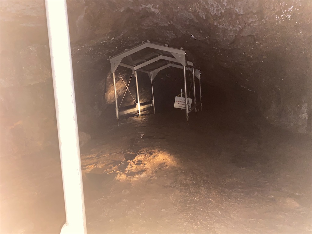 f:id:reiapapa:20210727150538j:image