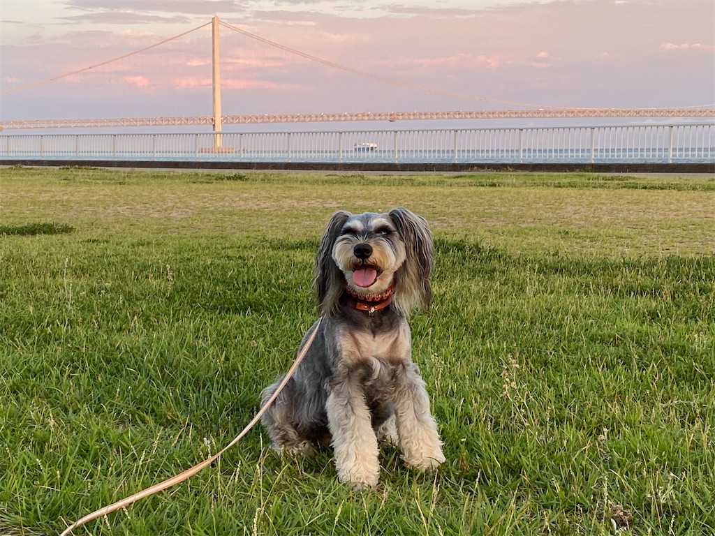 f:id:reiapapa:20210727165131j:image