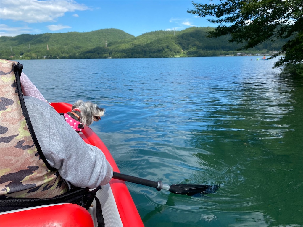 f:id:reiapapa:20210807203701j:image