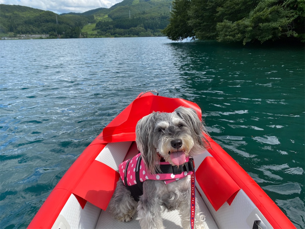 f:id:reiapapa:20210807204901j:image