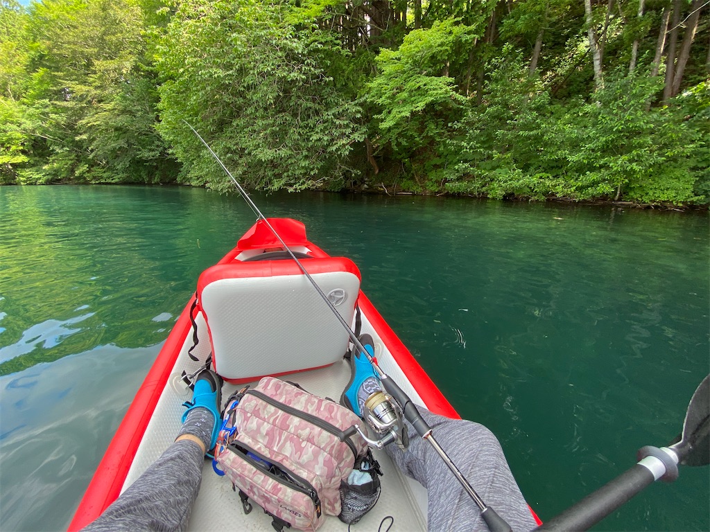 f:id:reiapapa:20210808063015j:image