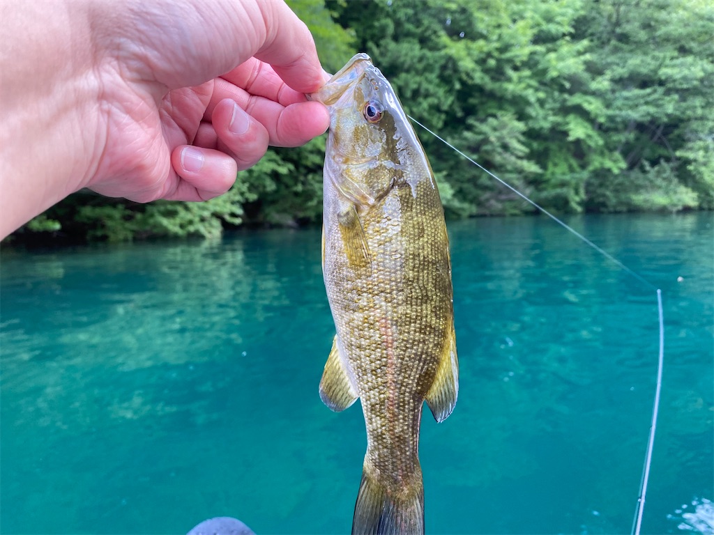 f:id:reiapapa:20210808070642j:image