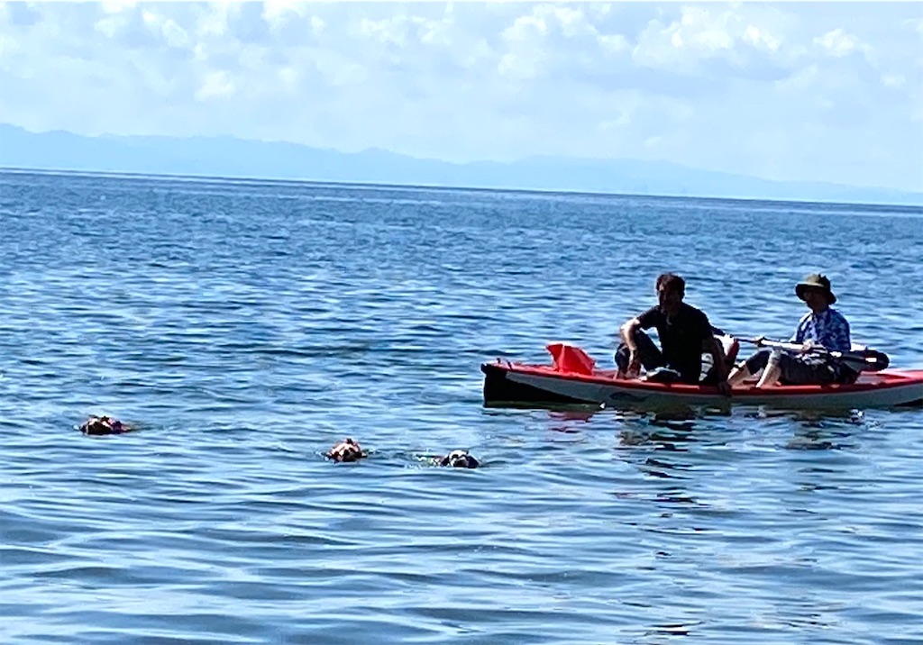 f:id:reiapapa:20210905213001j:image