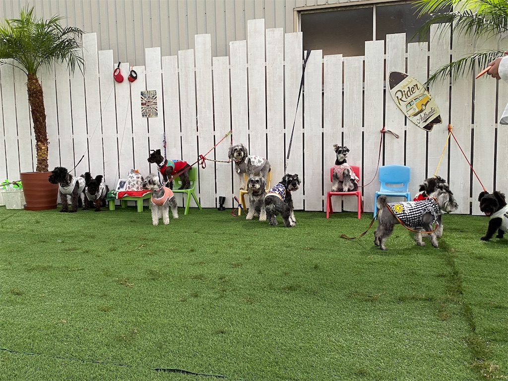 f:id:reiapapa:20210919171447j:image