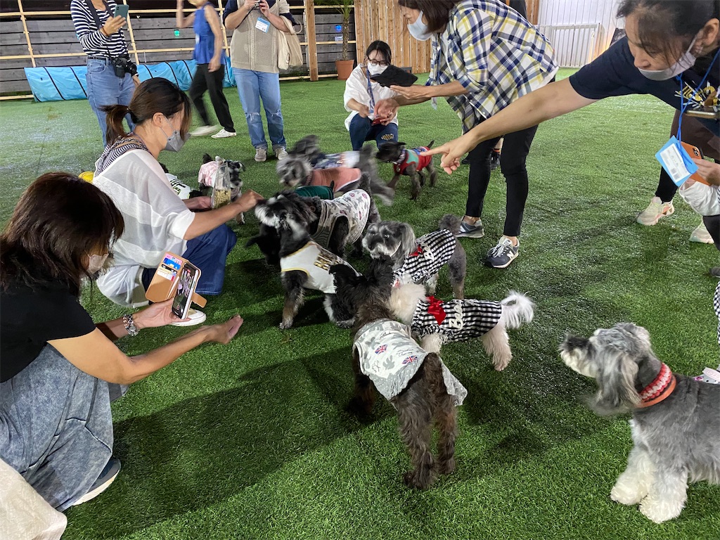 f:id:reiapapa:20210919171842j:image