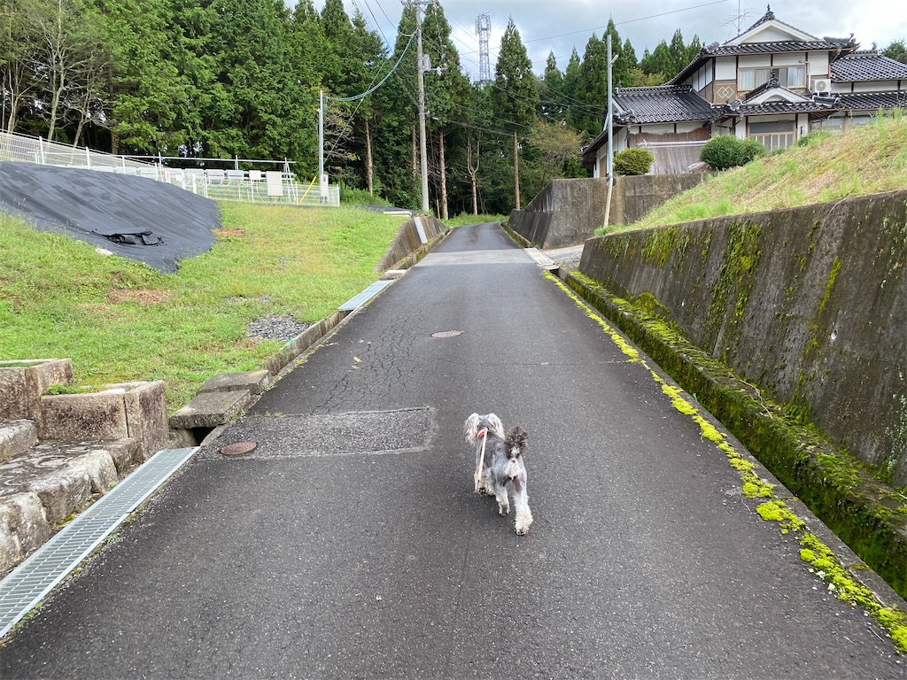 f:id:reiapapa:20210919185044j:image