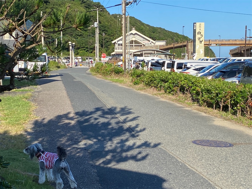 f:id:reiapapa:20210921090118j:image