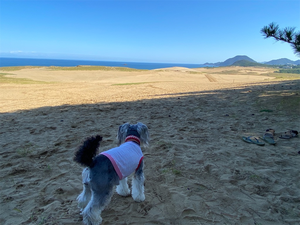 f:id:reiapapa:20210921093809j:image