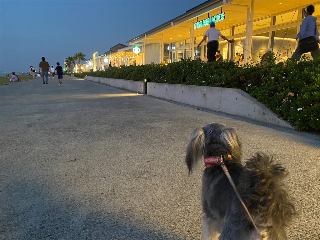 f:id:reiapapa:20211003180704j:image