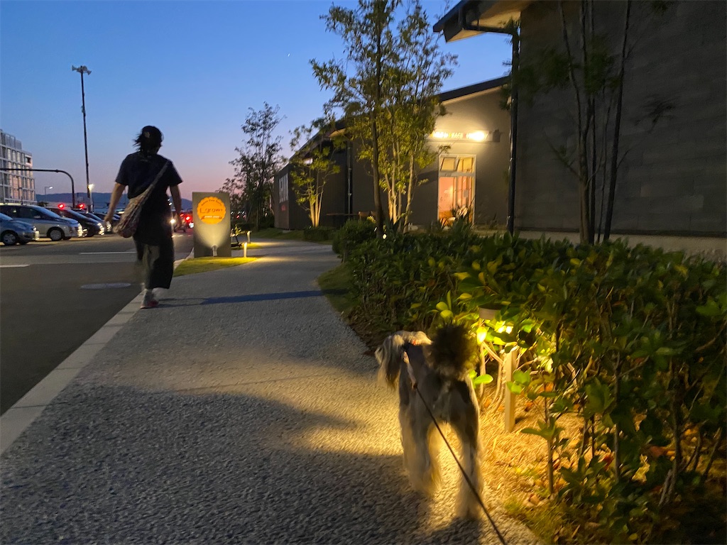 f:id:reiapapa:20211003181445j:image