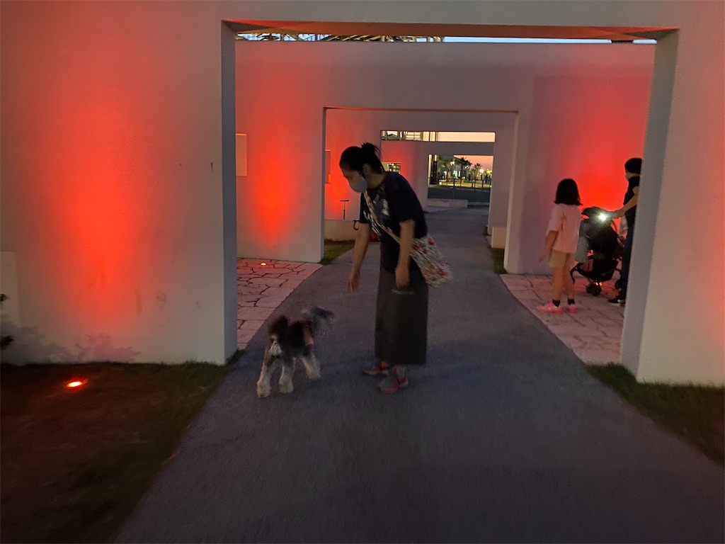 f:id:reiapapa:20211003181649j:image