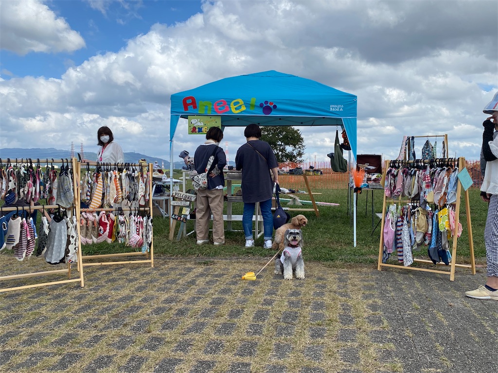 f:id:reiapapa:20211011152127j:image