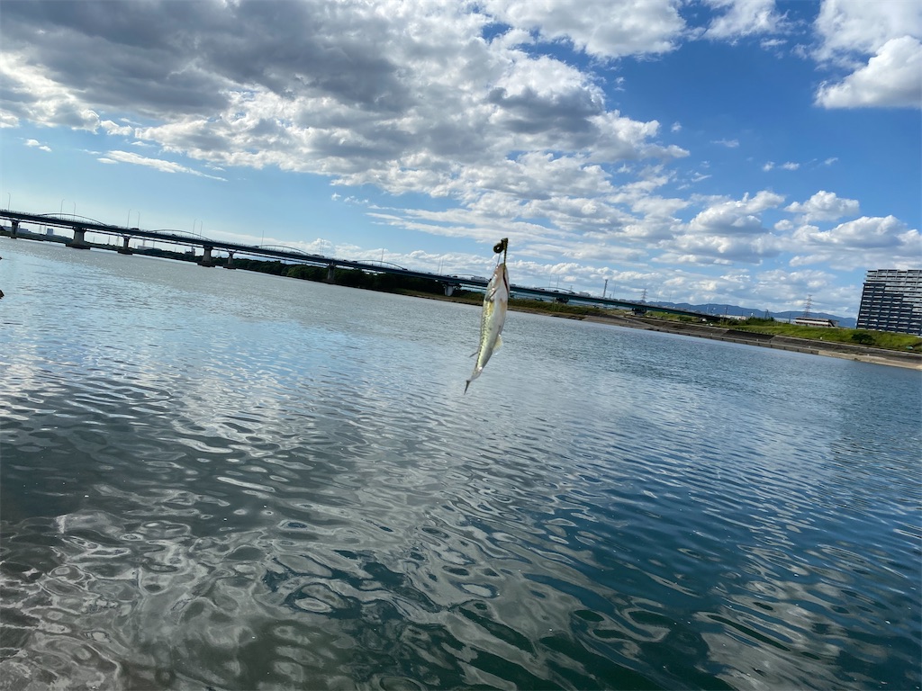 f:id:reiapapa:20211011155028j:image