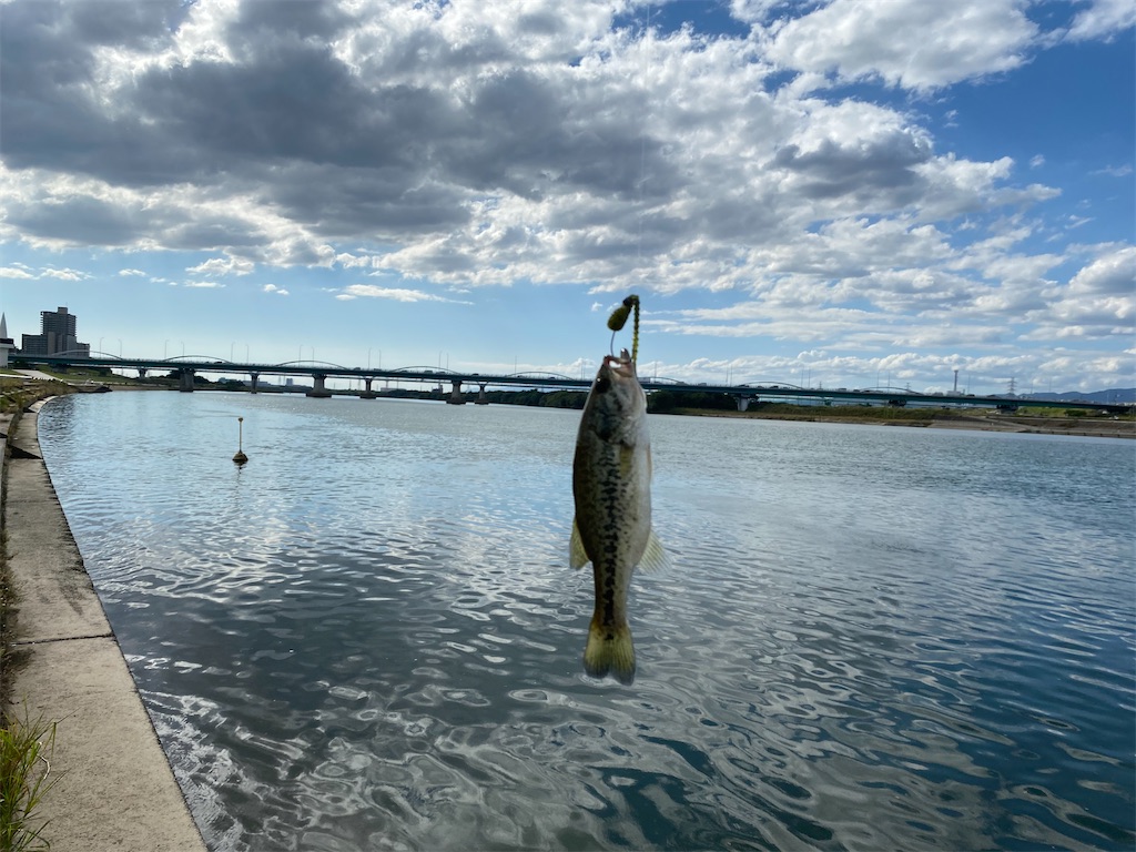 f:id:reiapapa:20211011155238j:image