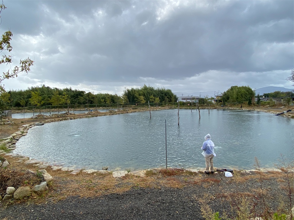 f:id:reiapapa:20211021171109j:image