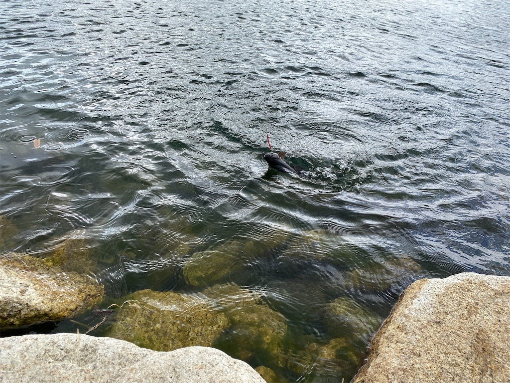 f:id:reiapapa:20211021172302j:image