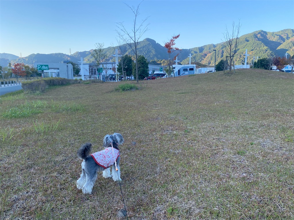 f:id:reiapapa:20211120085509j:image