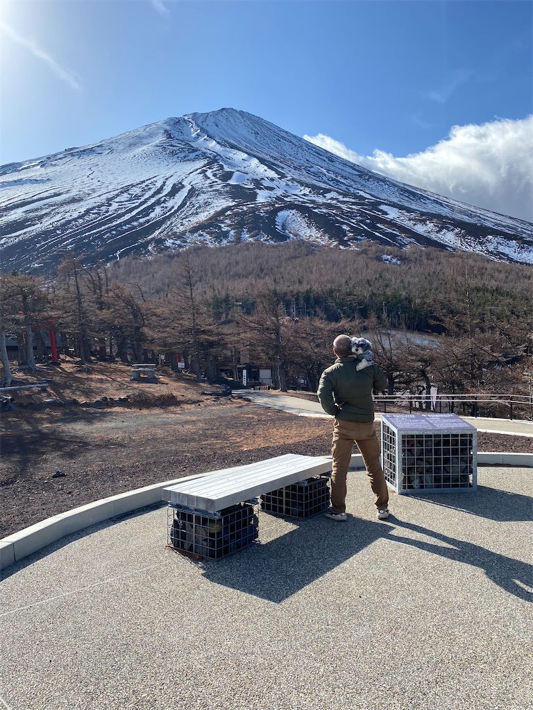 f:id:reiapapa:20211122165051j:image